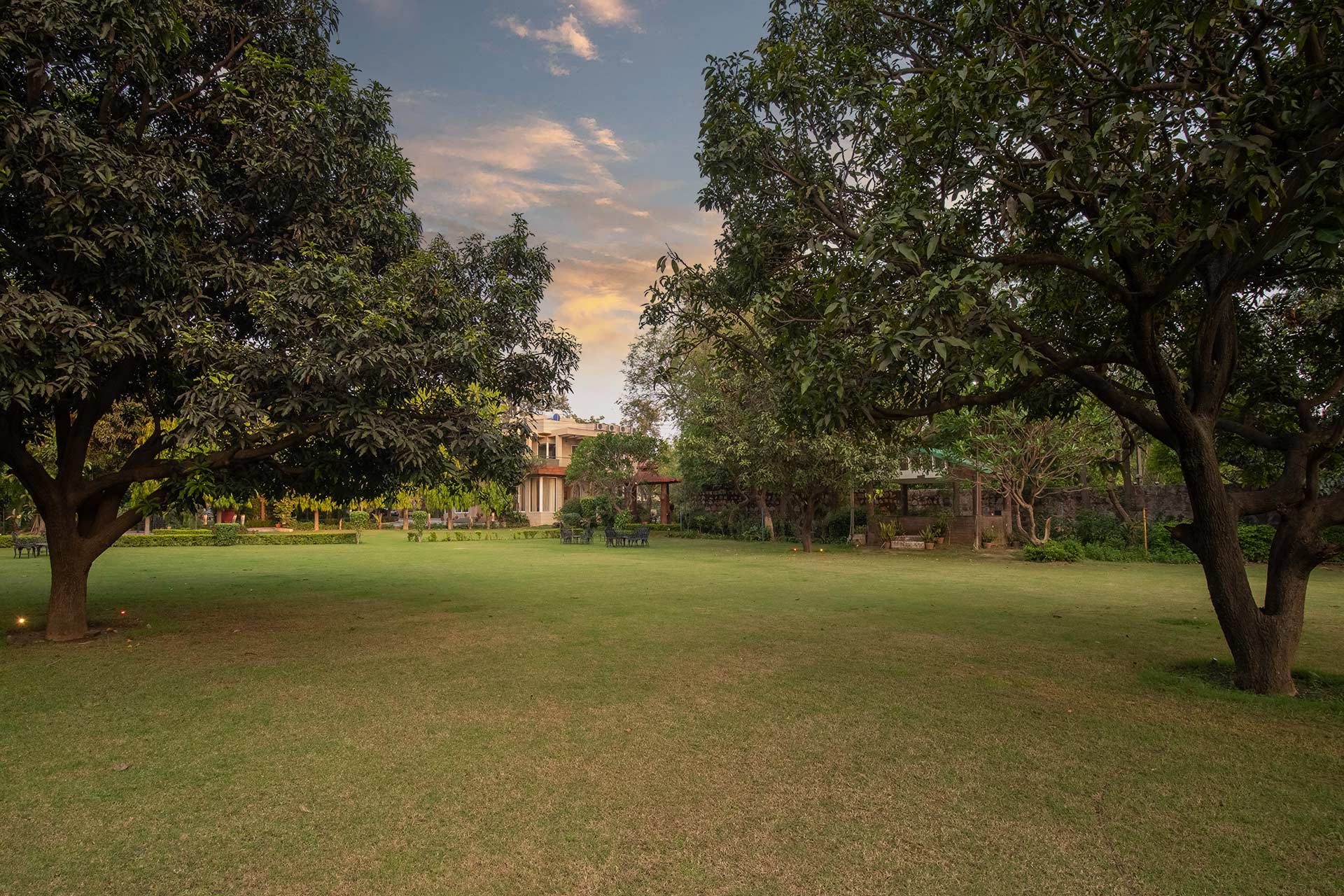 Estate 10 — photograph 3